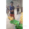 Corn Maize Shelling Peeling Machine Price